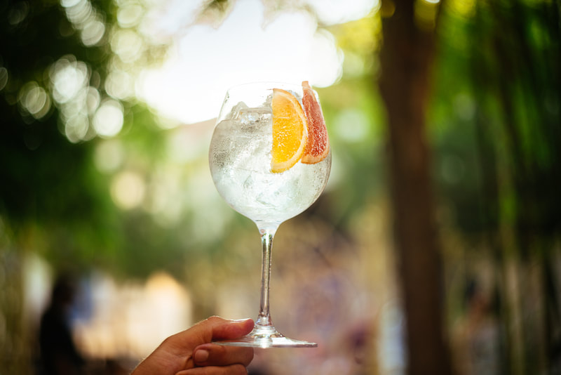 wine glass with ice and orange slices and grapefruit slices in water with a forest backdrop