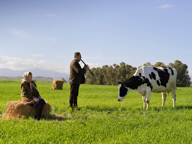 A man and a woman standing next to a cow in a field. | The White Leaf 